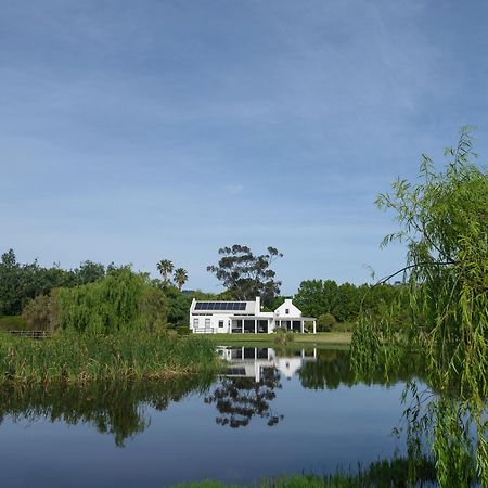 Sanddrif Guest Farm Stellenbosch Eksteriør billede