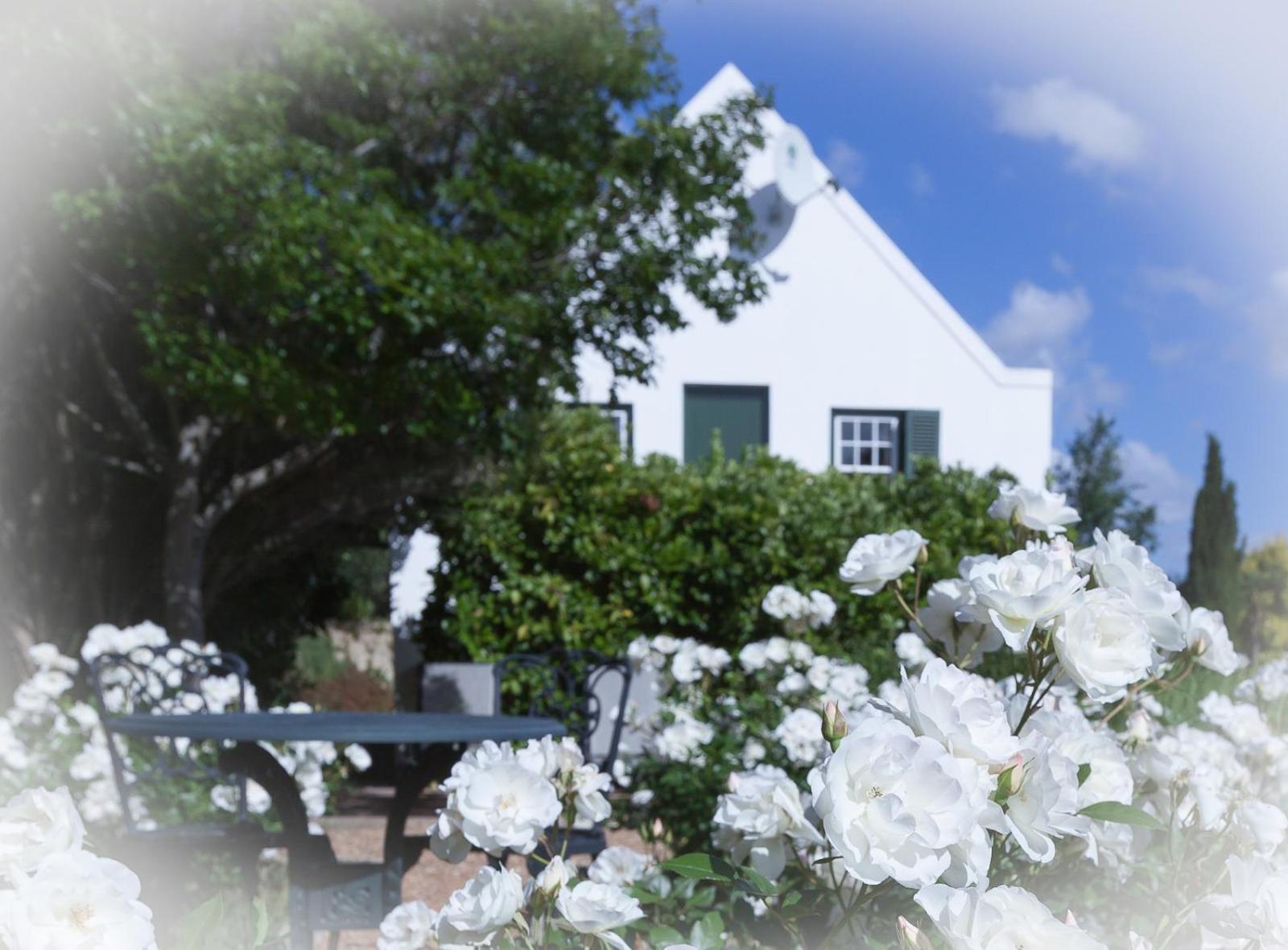 Sanddrif Guest Farm Stellenbosch Eksteriør billede