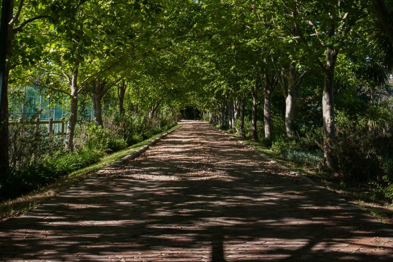 Sanddrif Guest Farm Stellenbosch Eksteriør billede